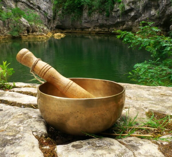 A closeup of a singing bowl placed in nature with the river in the background